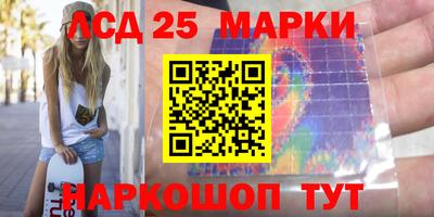 кокс Кингисепп