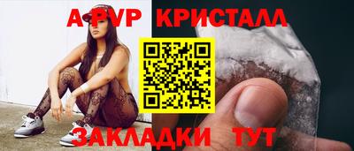 кокс Кингисепп