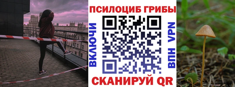 Галлюциногенные грибы GOLDEN TEACHER  МЕГА ссылки  Сызрань  купить  